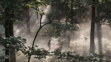 Teenager auf einer Waldlichtung; Szenenbild aus "Was du nicht siehst"